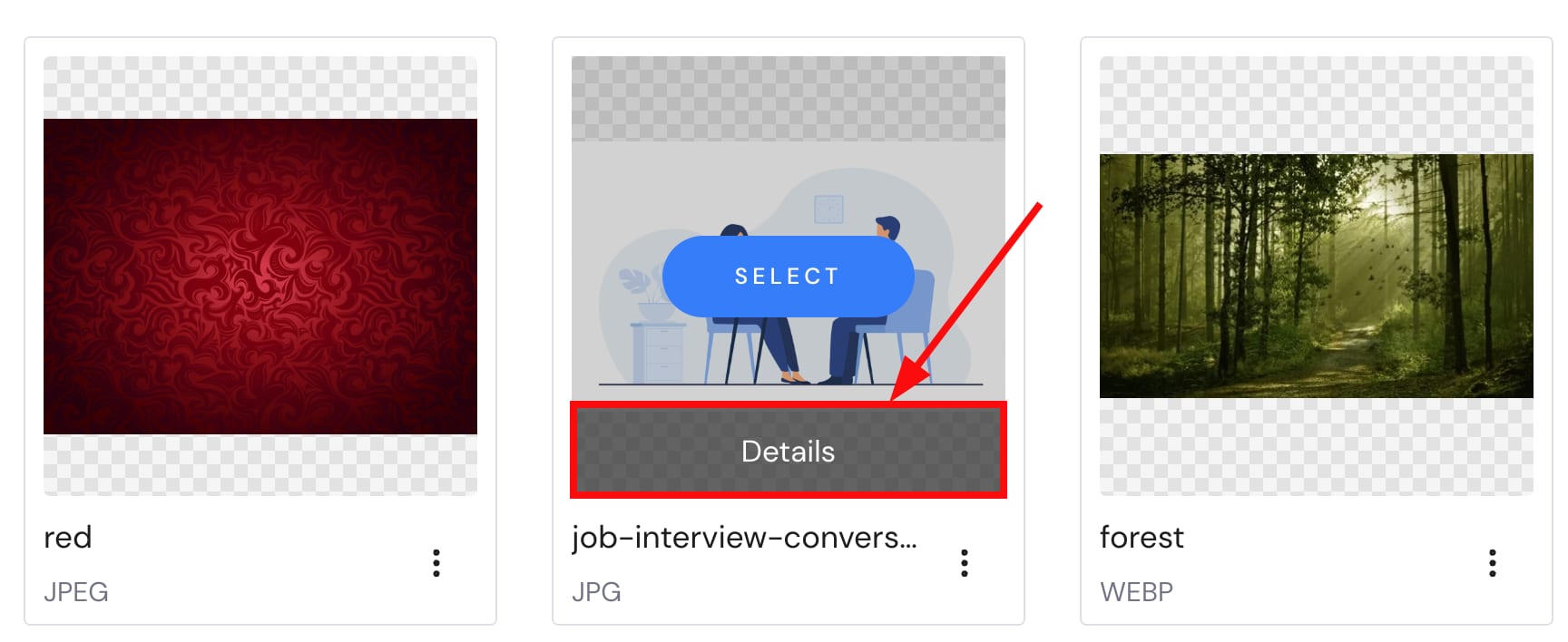 File details in the media library