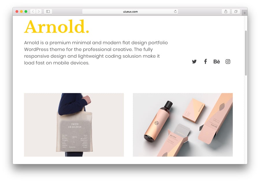 Tema de Arnold Portfolio