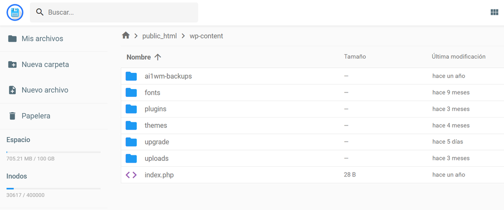 Carpeta wp-content que muestra el archivo de temas