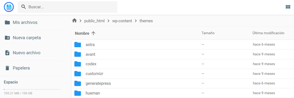 La lista de temas de WordPress instalados en su sitio