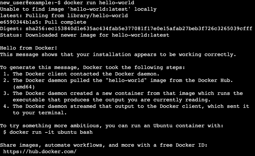 Terminal Docker funcionando