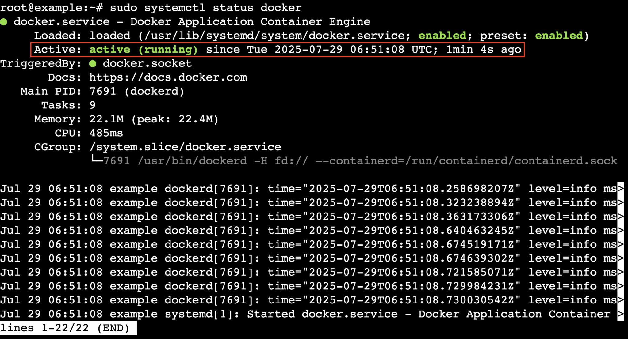 Uso del comando sudo systemctl status docker