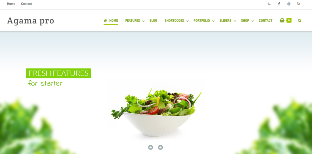 Imagen del tema Agama para WordPress