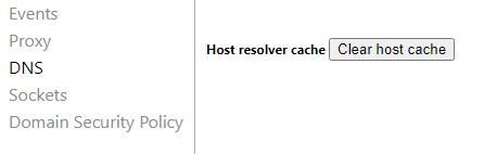 Borrar la cache DNS en Chrome