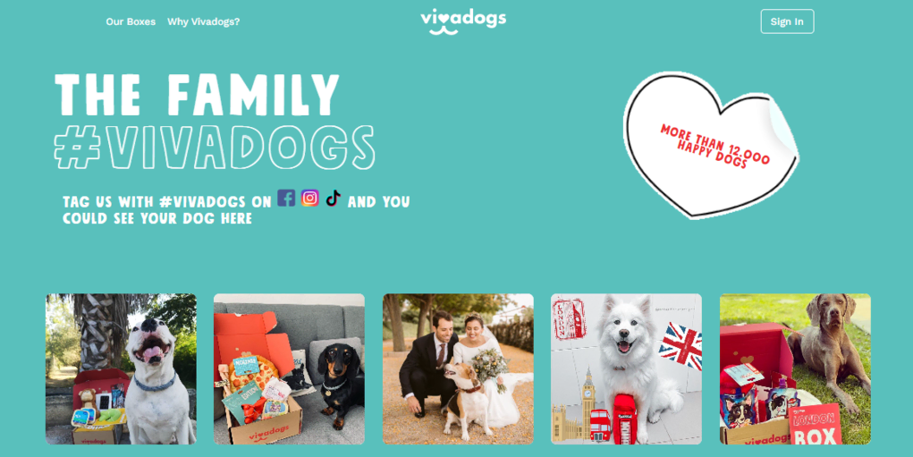 Sección de contenido generado por el usuario en la página de inicio de Vivadogs