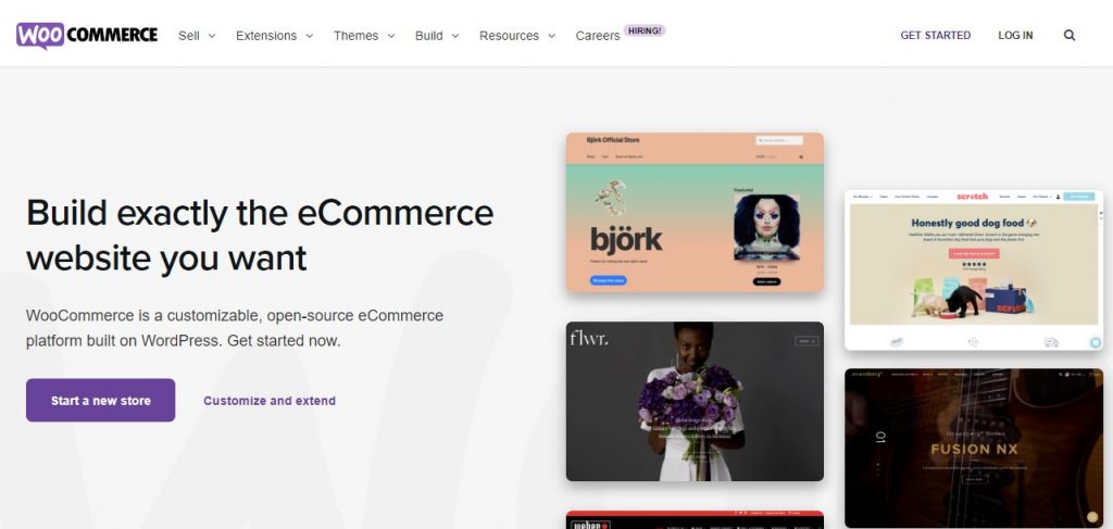 Página web principal de WooCommerce
