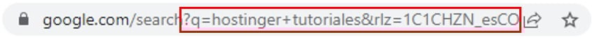 Ejemplo de los parámetros dentro de una URL