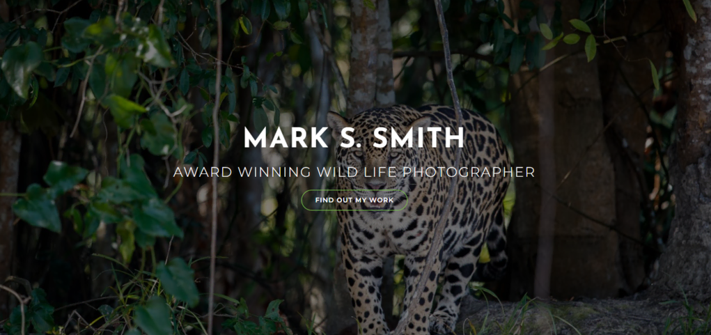 Plantilla para fotografía OceanWP