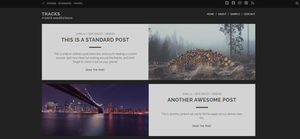 Tema de WordPress para fotografía Tracks