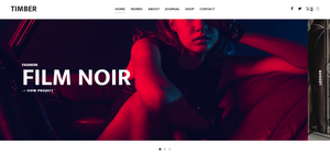 Tema de WordPress Timber