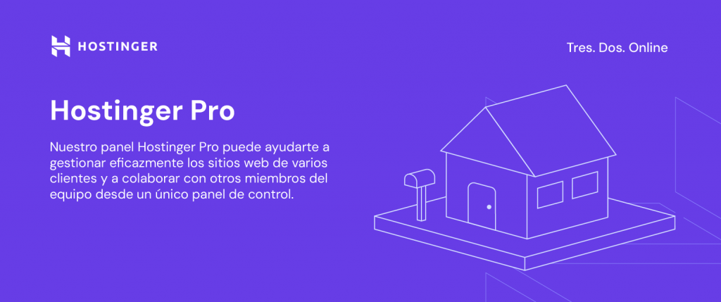 Características de Hostinger Pro de Hostinger