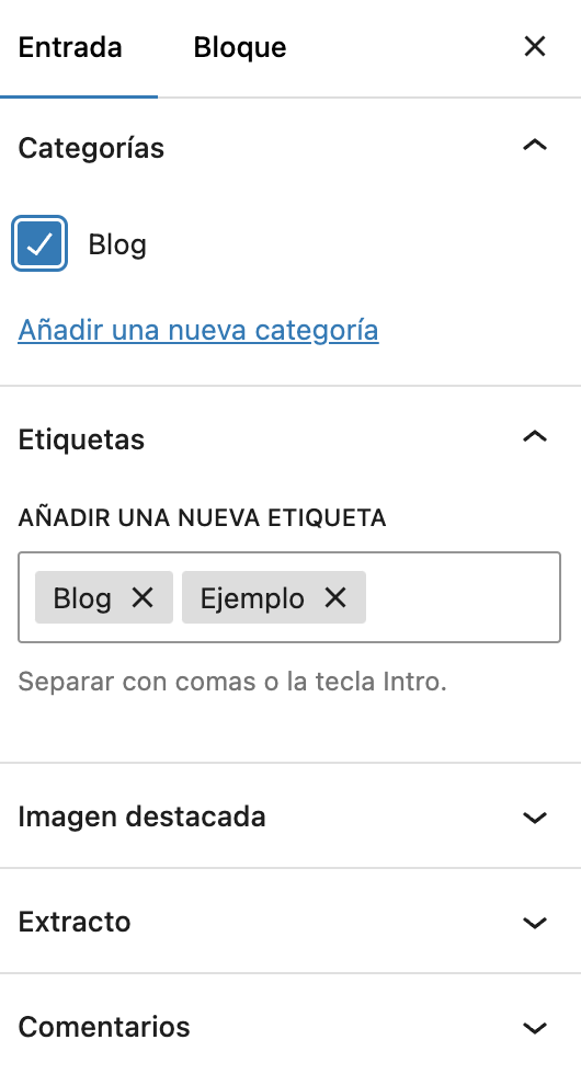 Sección de etiquetas y categorías del editor de WP
