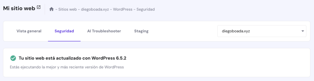 Sección de seguridad de WP