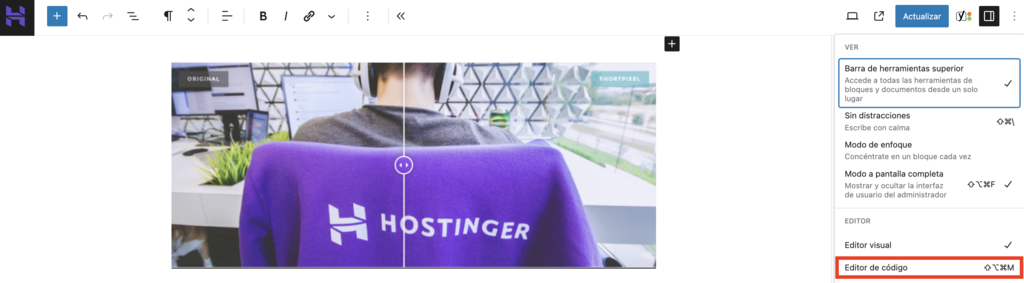 Opción de Editor de código del Editor de WordPress