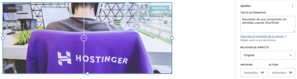 Sección de Texto alternativo del editor de WordPress