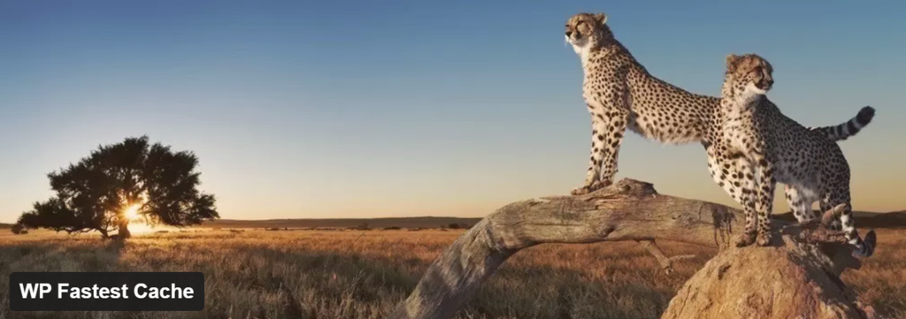 Plugin WP Fastest Cache 