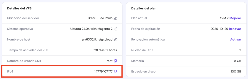 Vista general del VPS en hPanel
