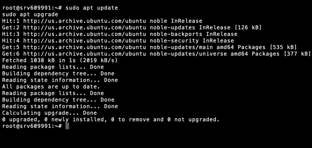 Uso de comandos sudo apt update y sudo apt upgrade