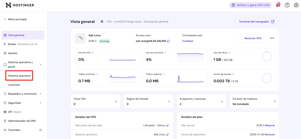 Vista general del VPS en hPanel