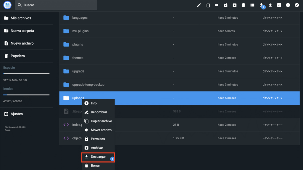Descargar archivos desde el Administrador de archivos de hPanel