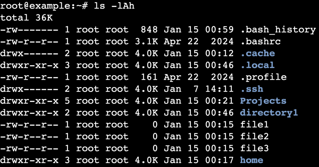 La salida del comando ls -lAh en la terminal
