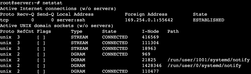 La salida del comando netstat muestra las conexiones de Internet activas y los sockets de dominio UNIX.