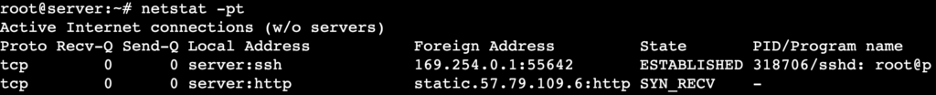 La salida del comando netstat -pt muestra los programas asociados a cada conexión de red.