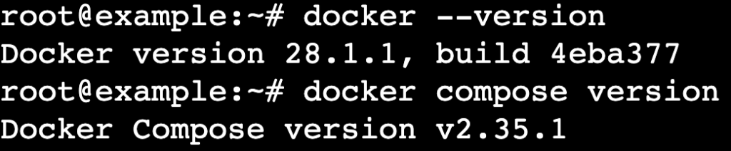 La salida de la terminal que muestra las versiones instaladas de Docker Engine y Docker Compose