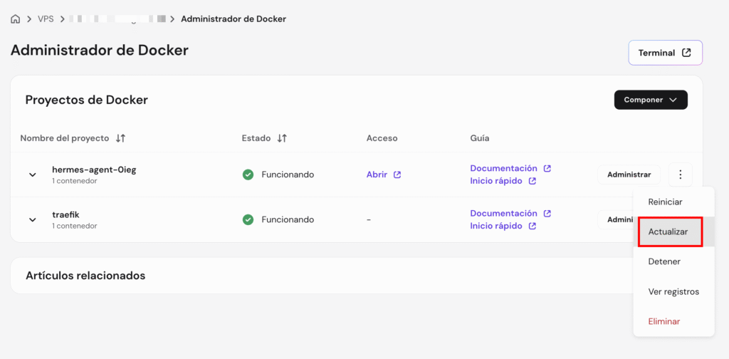 Sección de actualizar Hermes Agent en hPanel
