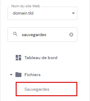 Les options de sauvegardes dans l'espace de gestion du site web