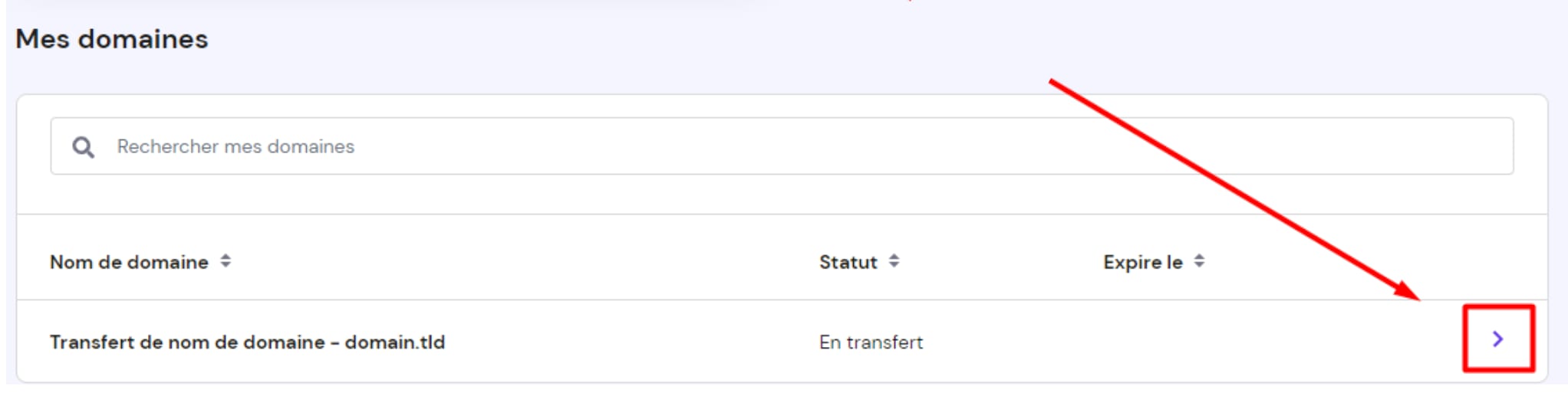 Voir le statut du transfert de domaine dans la section Noms de Domaine