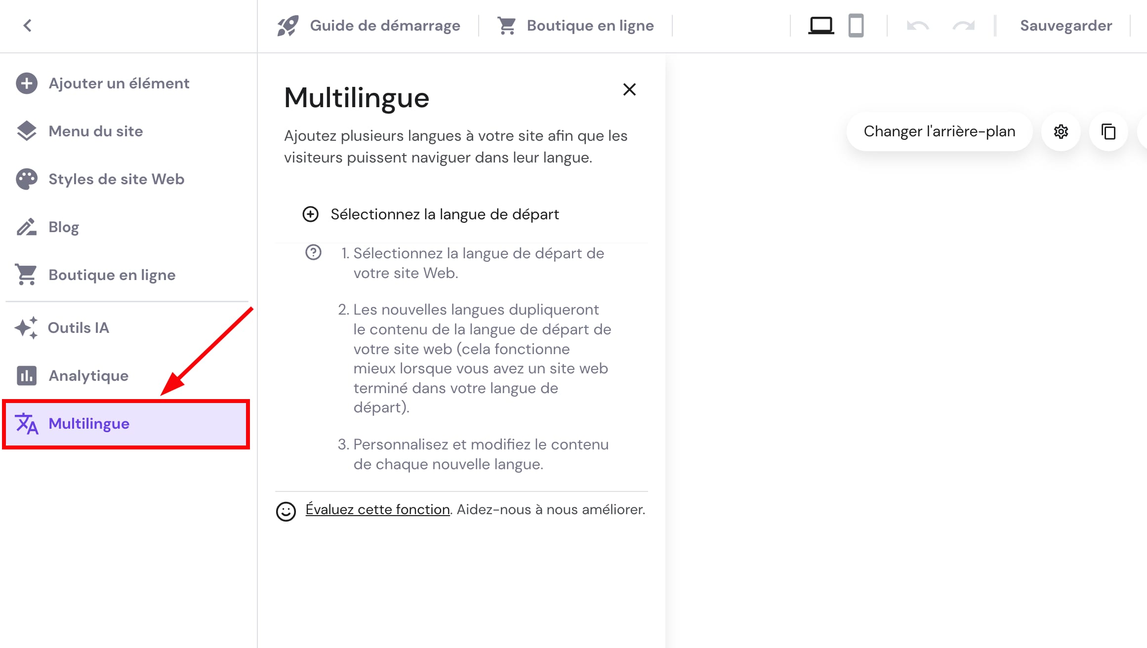 Paramètres linguistiques du site web