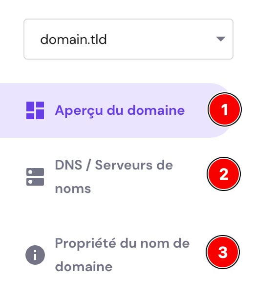 La barre latérale de la section Domaines montrant les options pour vérifier l'aperçu du domaine, la zone DNS et la propriété du domaine