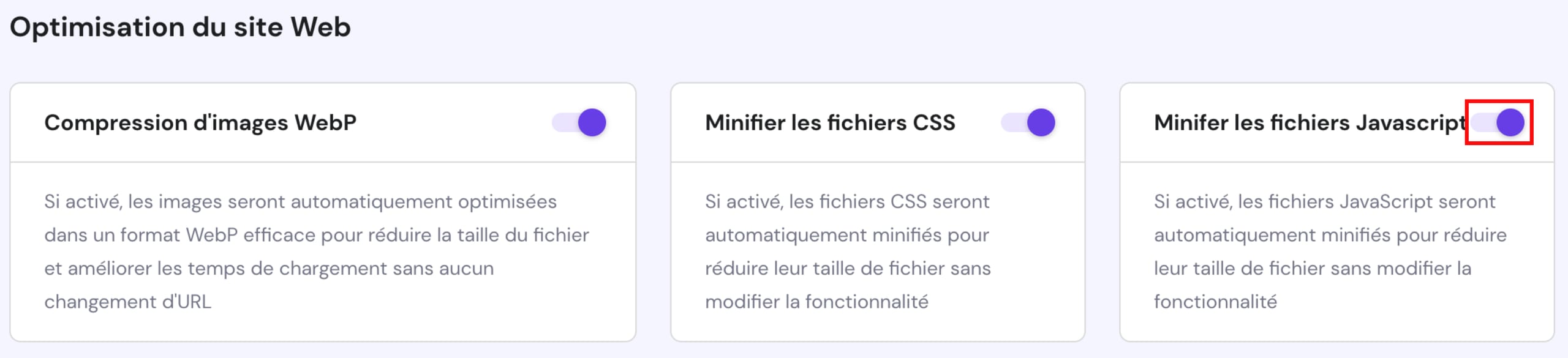 L'option de minifier les fichiers JavaScript du site web