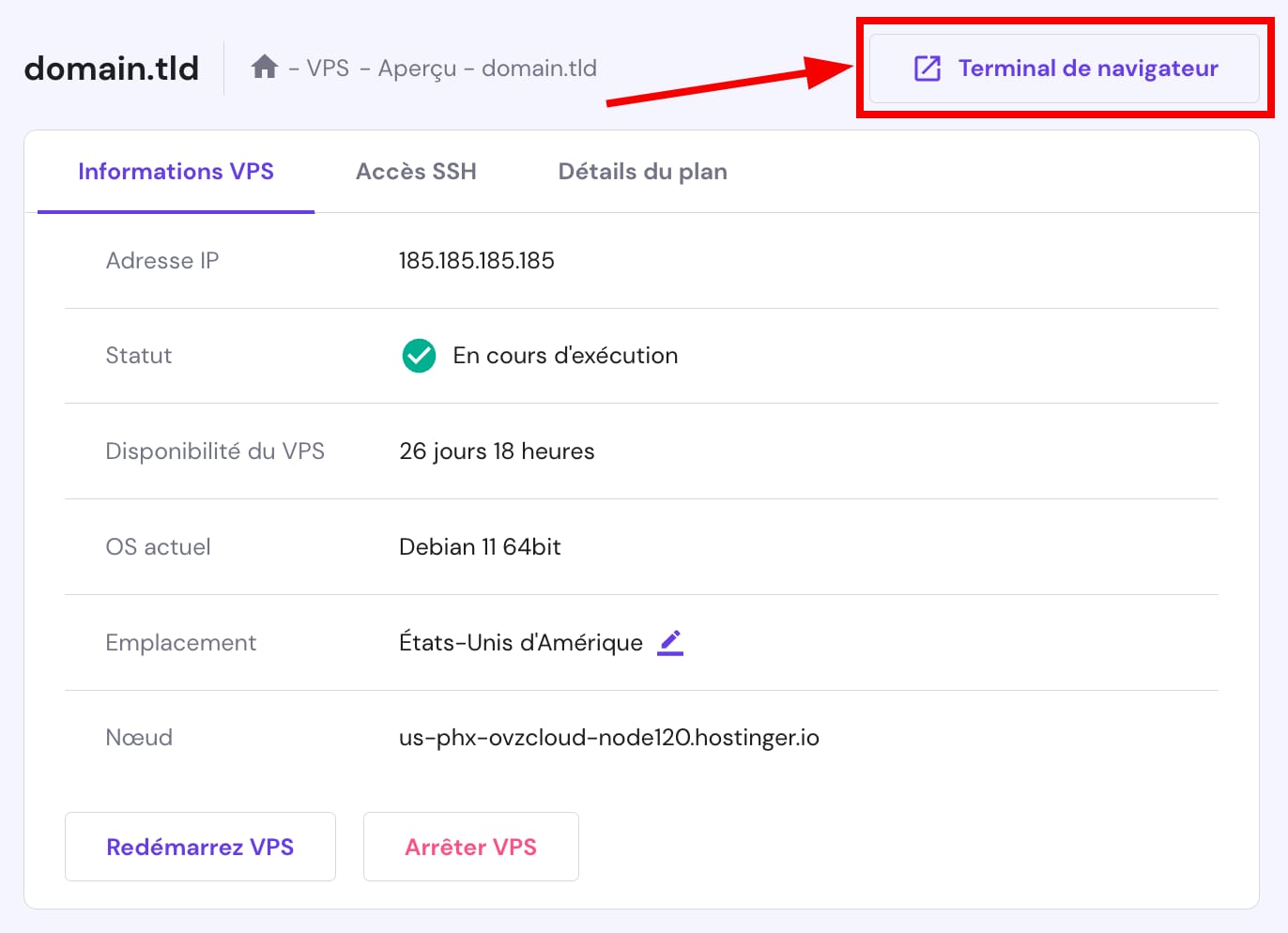 Accéder au terminal du navigateur dans le tableau de bord du VPS