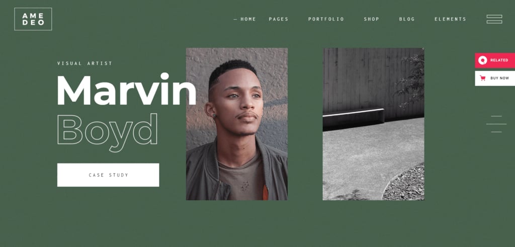 amedeo-portfolio Thème de portfolio WordPress Amadeo