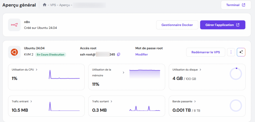 Aperçu général du VPS de hPanel