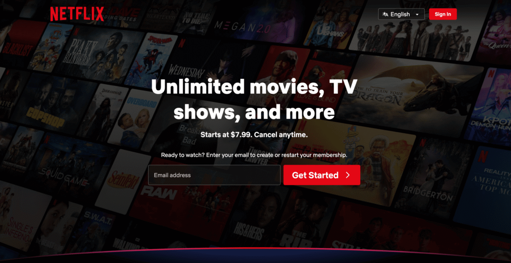 Page d’accueil de Netflix et exemple de site web de médias