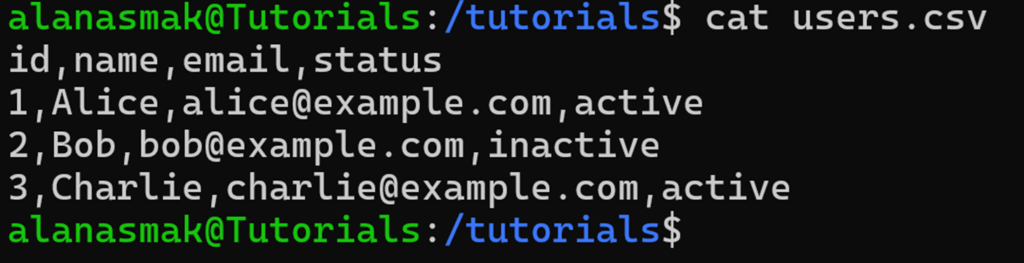 Exemple de fichier users.csv contenant des informations fictives sur les utilisateurs d’une application web.