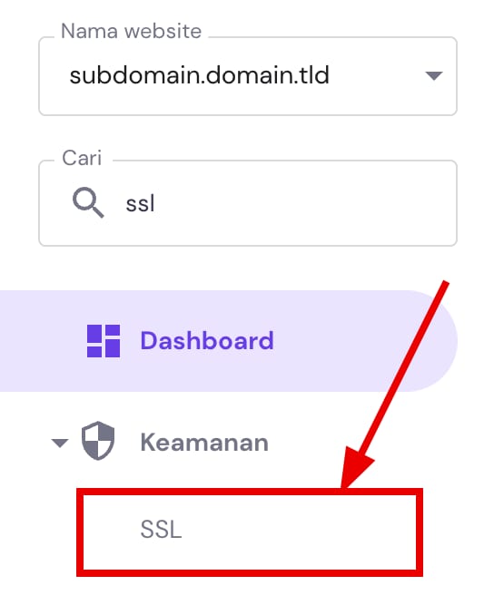 Pengaturan SSL di area manajemen situs web