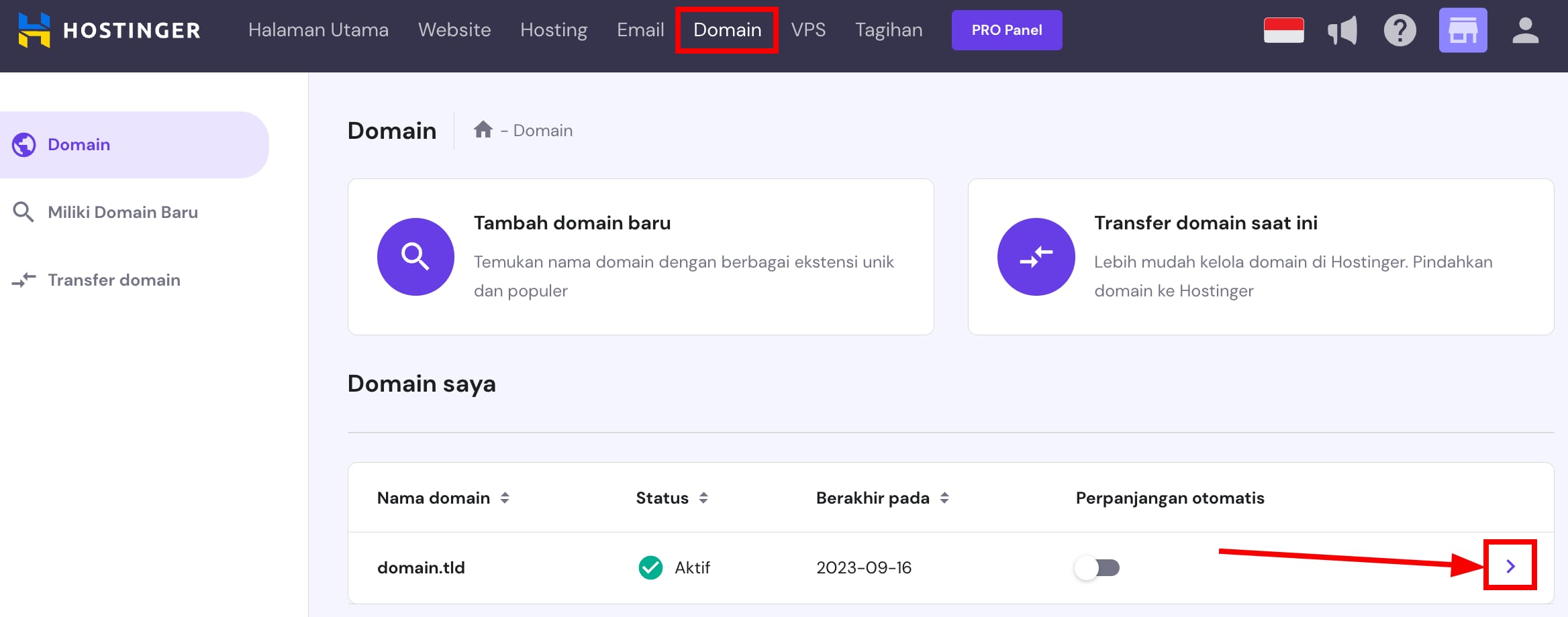Bagian Domains pada hPanel yang menunjukkan cara mengakses zona DNS