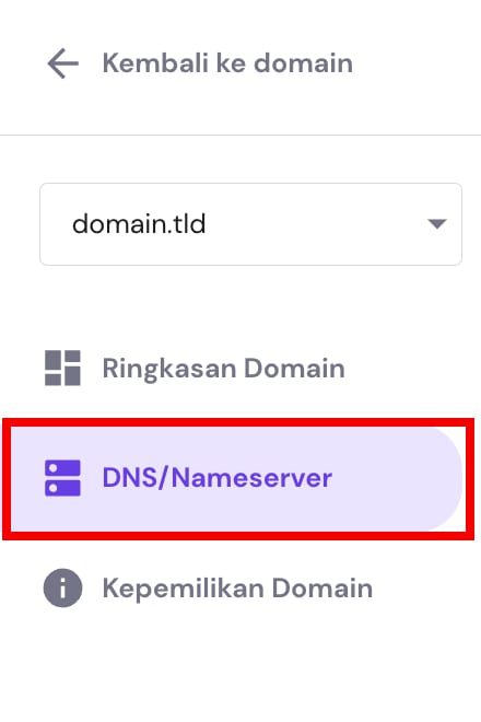 Mengakses zona DNS domain dengan membuka tab DNS / Server Nama