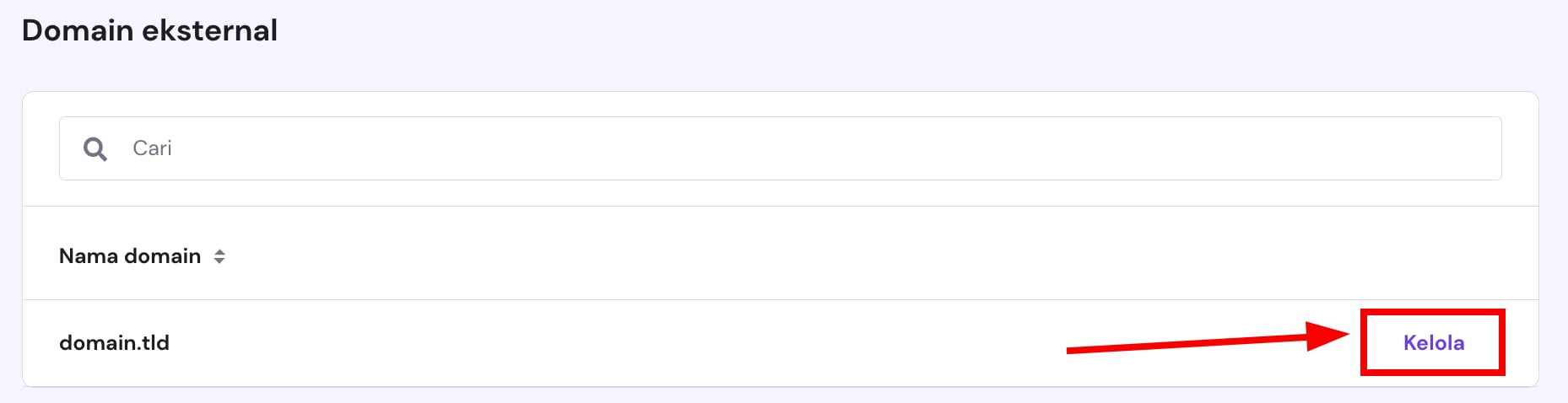 Mengakses zona DNS domain eksternal