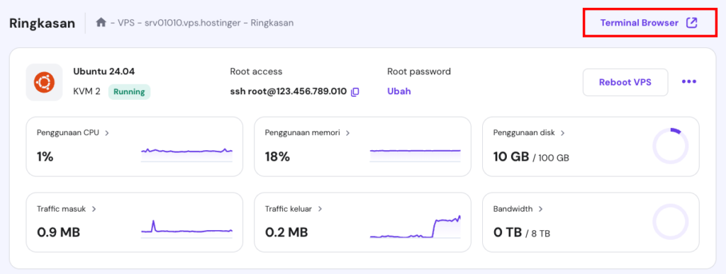 ringkasan vps di hpanel dengan tombol terminal browser yang dipilih