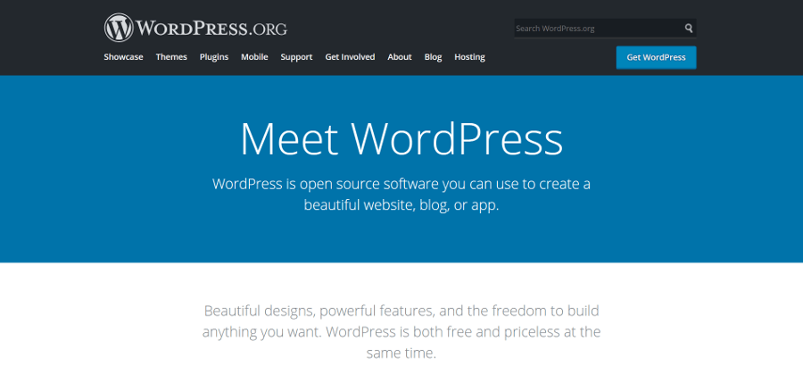Website WordPress