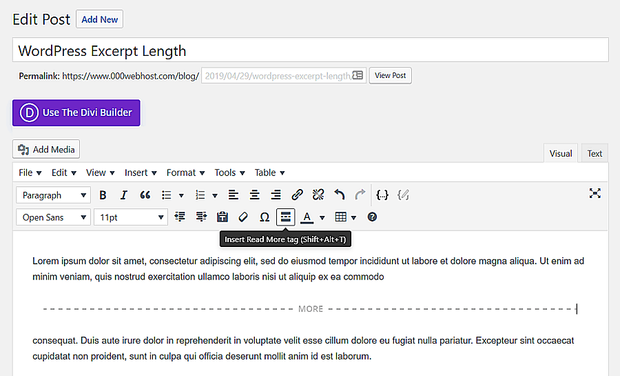 Apa itu excerpt WordPress? Excerpt adalah
