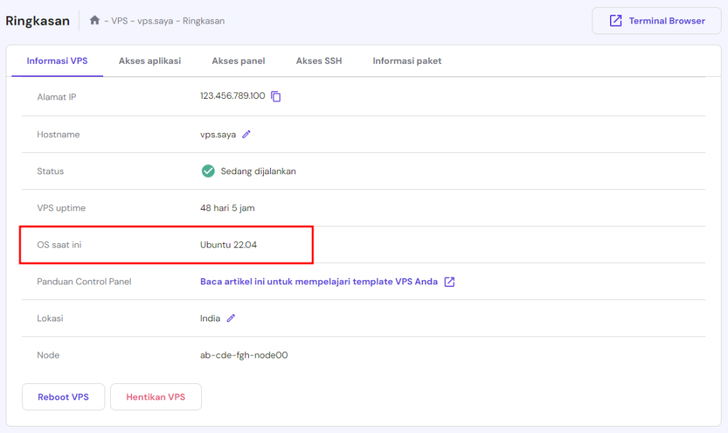 tampilan bagian ringkasan vps di hpanel dengan kolom os yang dipilih