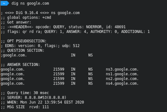 tampilan informasi nameserver