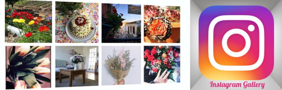 instagram plugin wordpress instagram gallery