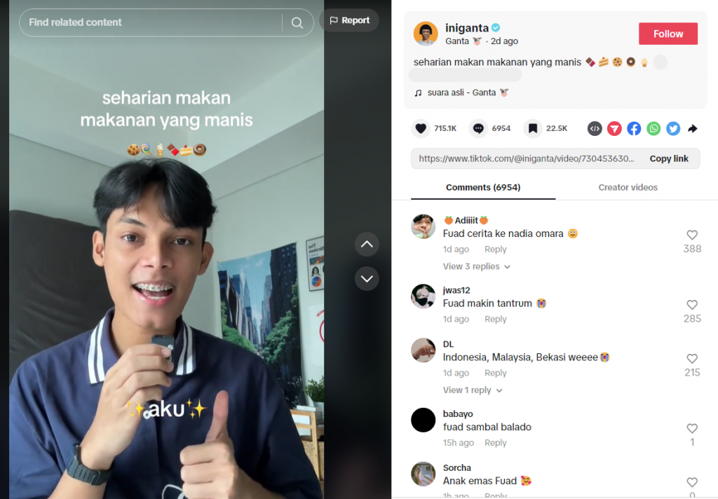 menjadi content creator tiktok sebagai ide usaha online
